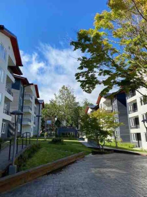 Hermoso Departamento Disfrutar Y Descansar